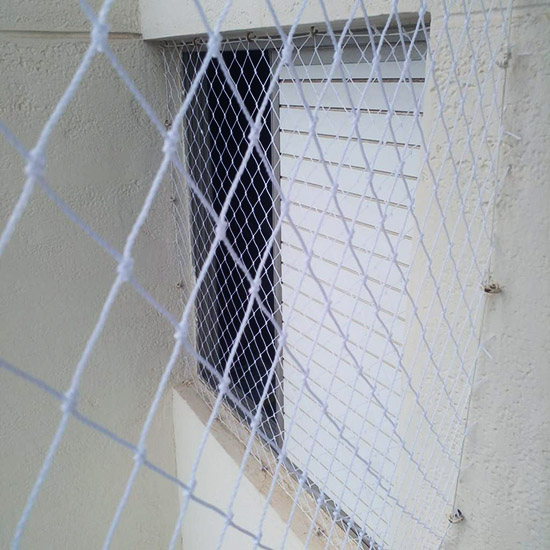 Rede de Proteção Onde Comprar em Salvador Rede de Proteção Onde Comprar em Salvador