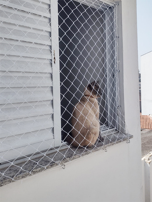 Rede de proteção Para Gatos SP