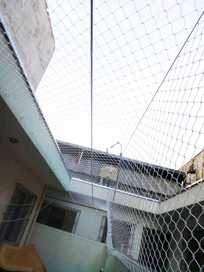Redes de Proteção na Saúde SP Redes de Proteção na Saúde SP