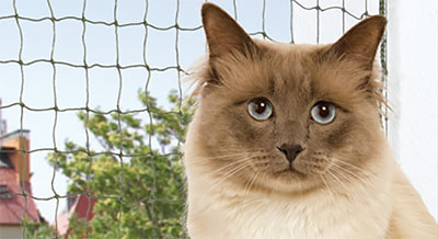 Redes de Proteção Para Gatos em Itapevi