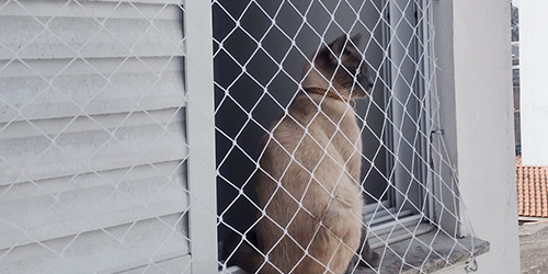 Tela de Proteção para Gatos