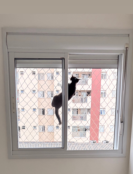 Redes de Proteção na Cidade Dutra